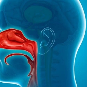 Valvula nasal interna y rinoplastia